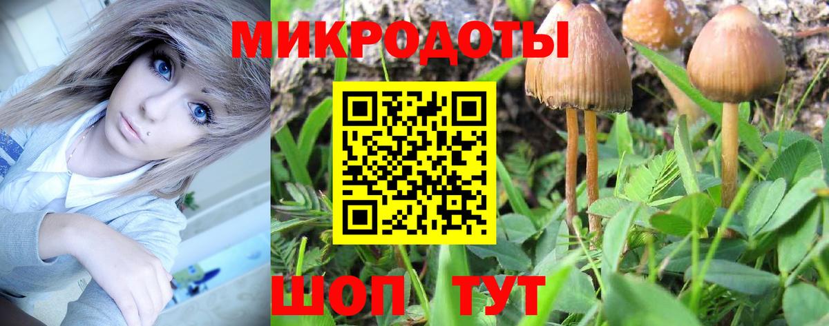 Новозыбков  Галлюциногенные грибы Cubensis  Вход с VPN 